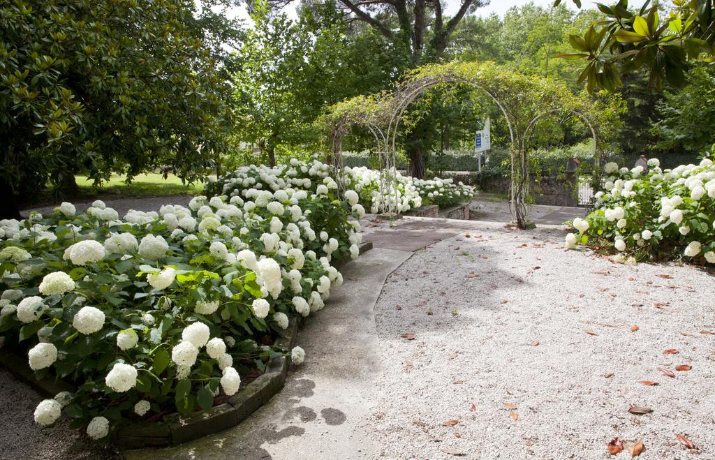 Posada Rolisas Polanco Exteriér fotografie